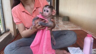 Mom make up monkey Mino and diaper