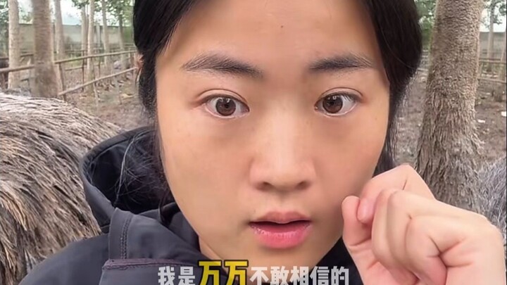 Đà điểu trợ lý phát trực tiếp đáp trả gay gắt những hoài nghi của netizen! Netizen: Trông bạn cũng b