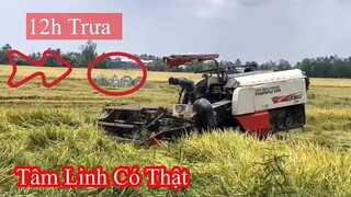 Máy Cắt Lúa KUBOTA DC 105x Chạy Tốc Độ Cao l Máy Gặt Đập Liên Hợp
