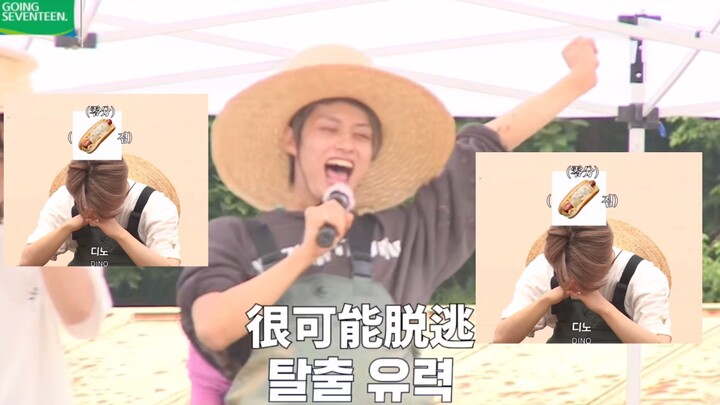 【SEVENTEEN】李灿/文俊辉之 真假忙内的区别！Dino：难道忙内不是我吗！