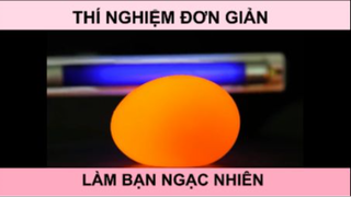 Thí nghiệm đơn giản làm bạn ngạc nhiên