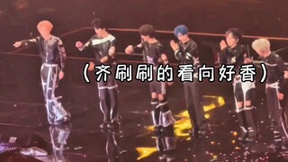 演唱会现场跳晚安大小姐 浩翔成了大家的模板