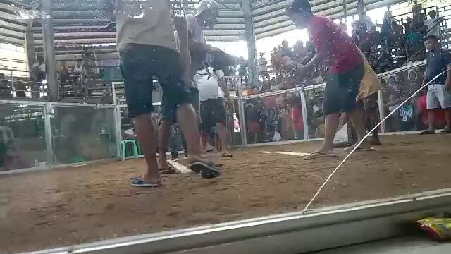first  fight candijay 2wins#win