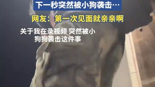 男生正在录视频，下一秒突然被小狗袭击……
