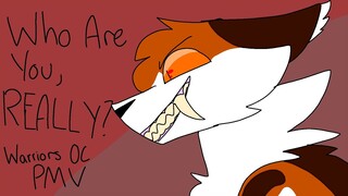 Who Are You, Really? | WARRIORS OC PMV