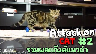 รวมพลแก๊งค์แมวฮ่า Attack on Cat ! 2 พากย์นรก