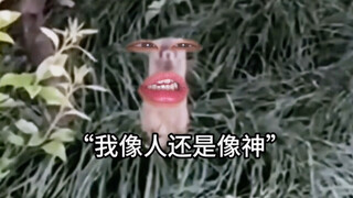 《反方向の讨封》