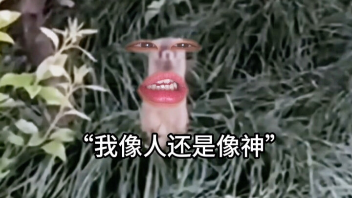 《反方向の讨封》