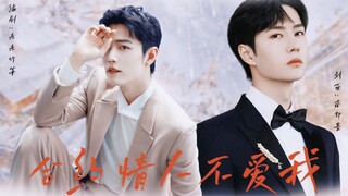 【博君一肖】合约情人不爱我  19