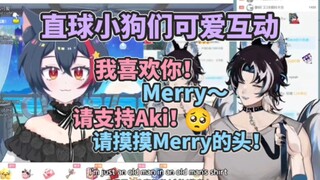 【Aki/Merry】直球Merry突然的告白:我喜欢你!～