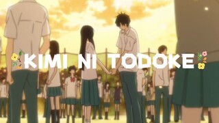 𐙚 AMV Kimi Ni Todoke season 2 — Duvet ♬ 𐚁