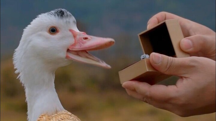 ทุกครั้งที่ความรักกลายเป็นความทรมาน คุณก็เริ่มอยากหนี คุณแน่ใจแล้วใช่ไหมว่าไม่ได้รักฉัน?