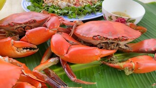 MÒ ĐƯỢC "CUA ÔNG NỘI" KỔNG LỒ HẤP NƯỚC DỪA VÀ MÓN TÔM TÁI RAU NGON XANH MẶT