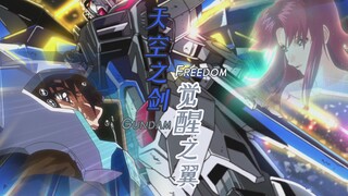 【天空之剑/觉醒之翼】机动战士高达seedMAD