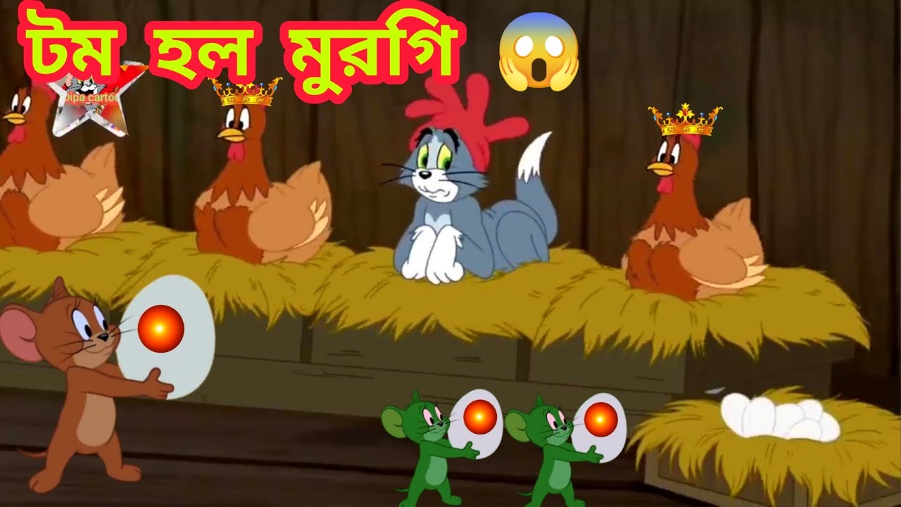 Tom and best sale jerry dubbing bangla