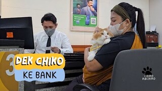 Dek Chiko Ke Bank. funny video, cats, cat, pet, pets, animal, animals, trending, viral, kucing, cute