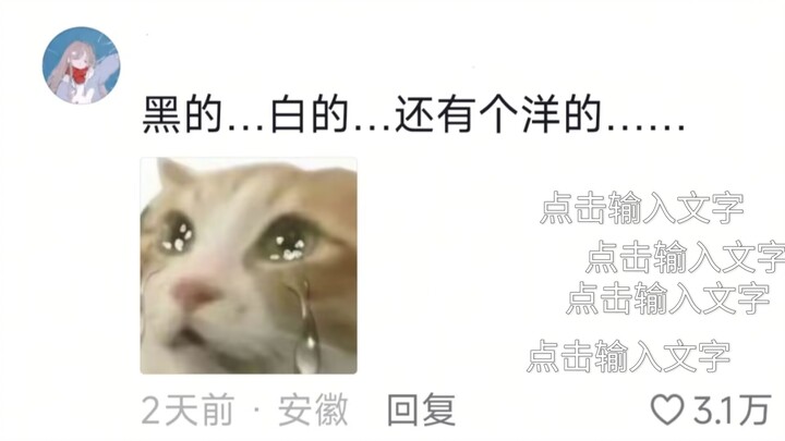 Khi mèo biết chủ nhân vừa trở về từ quán cà phê mèo… ( •̅_•̅ )