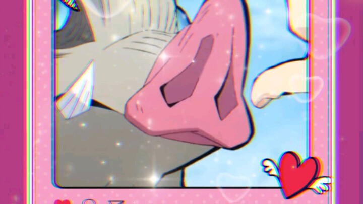 animasi