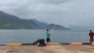 mancing mania