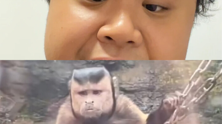 I heard I'm popular again...