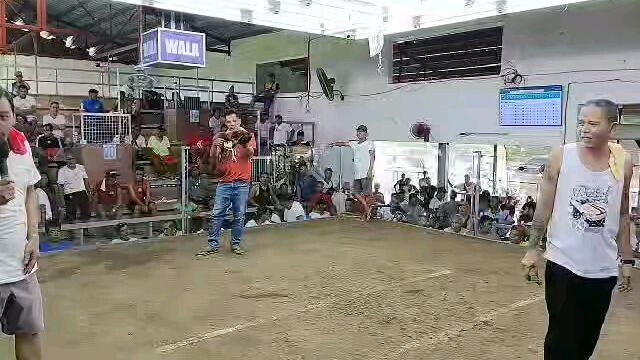 san mig cockpit arena june-9-24(winningline gold) pa-champion win