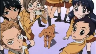 anime SUGAR SUGAR RUNE op
