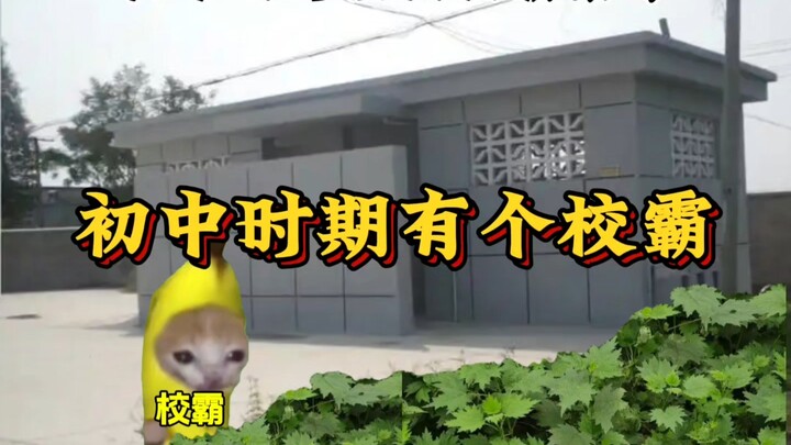 初中的时候班级里有个校霸.