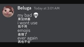 أي قطة تصدر ضجيجًا