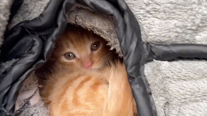 人，降温了，好冷，咪处理不好