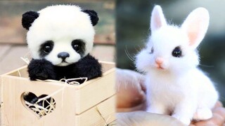 Cute baby animals Videos Compilation cute moment of the animals - Funniest Animals #2