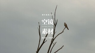 【免版权空镜】“Desolation”