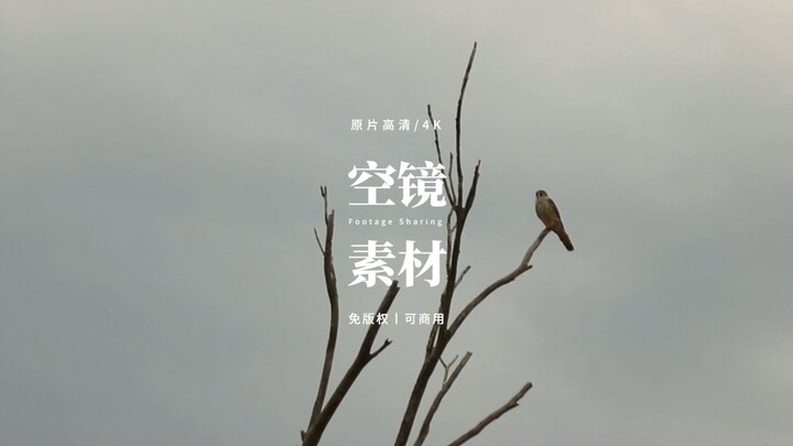 【免版权空镜】“Desolation”