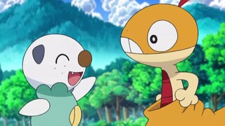 Pokémon yếu nhất của Xiaozhi?—Cậu bé trơn tuột “chỉ có quần và đầu”