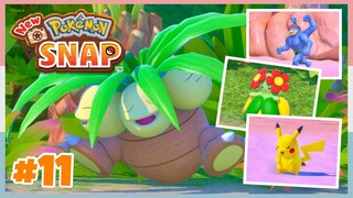 Level 1 Blushing Beach *Day* Completed | New Pokemon Snap - Part 11 (No Commentary)