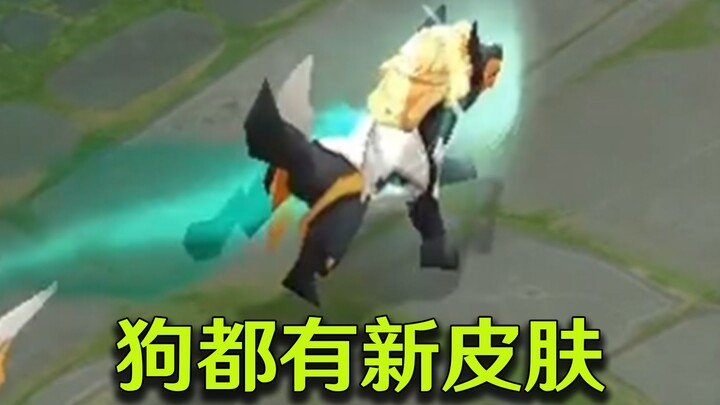 في الموسم الجديد، حتى الكلاب ستحصل على ملابس جديدة!