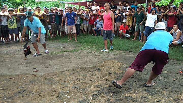 panalo na naman ang hwarang ko