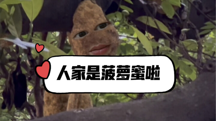 It’s jackfruit!