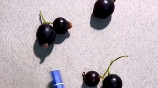 لا أعتقد أنك تستطيع تخمين ذلك بشكل صحيح هذه المرة!