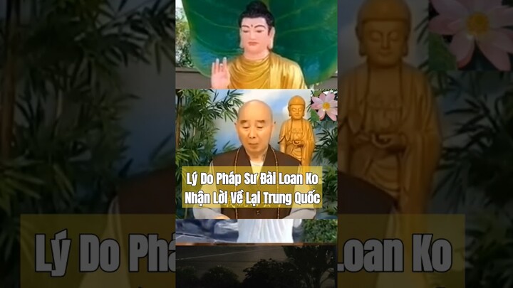 Bài Giải Lý Do Pháp Sư Đầy Đủ Phía Dưới🙏🙏🙏@diepthuy06