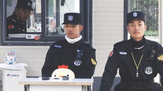 [Zhengzhou Normal University] Shoulder-shaking dance coincidence—Kiki and Chuchu are here!