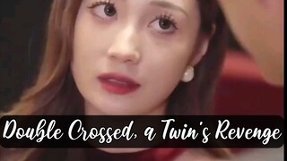 Double Crossed, a Twin's Revenge