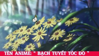 Ai xem bộ anime này chưa nhỉ? #animehaymoingay