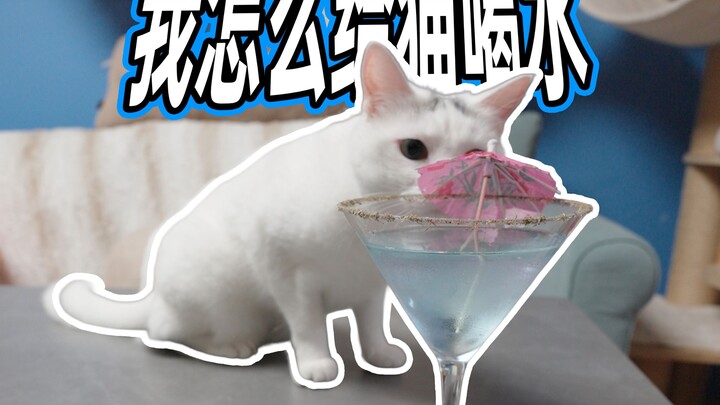 How I Give Water to My Cat