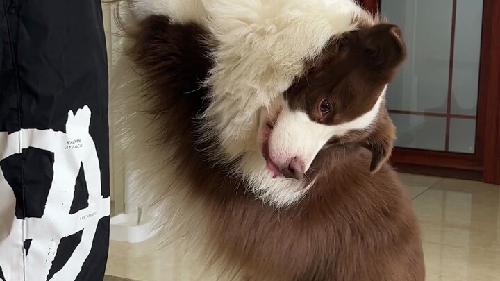 The Little Tricks in Yuzai’s Mind