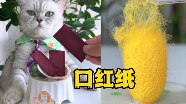 Elvis: Can silkworm cocoons and worms really be used to make lipstick?