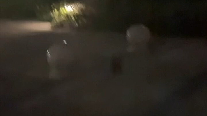 家人们这是啥动物，自家小区发现的，缠着我的狗还要想咬我的狗，看着属实很凶。