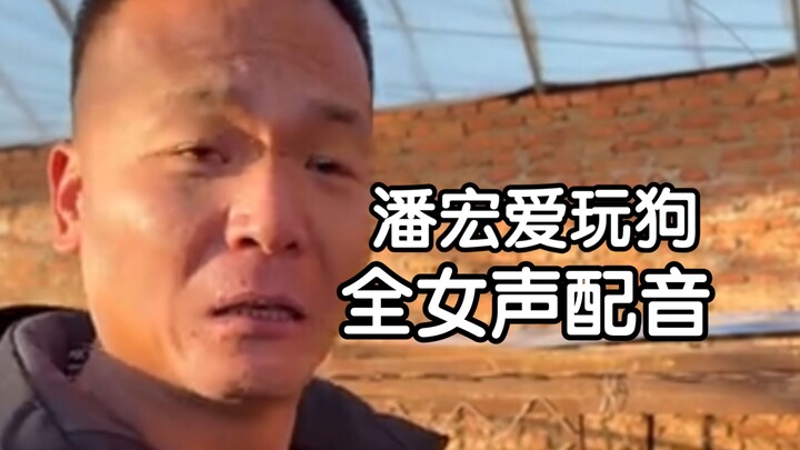 Pan Hong suka bermain anjing, tapi semua pengisi suara wanita