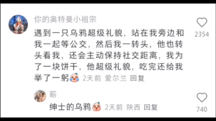 Khu vực bình luận vui quá!