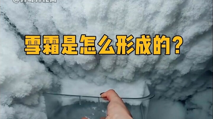 How Does Frost Form? #Science #StressRelief #Frost #LearnSomethingNew