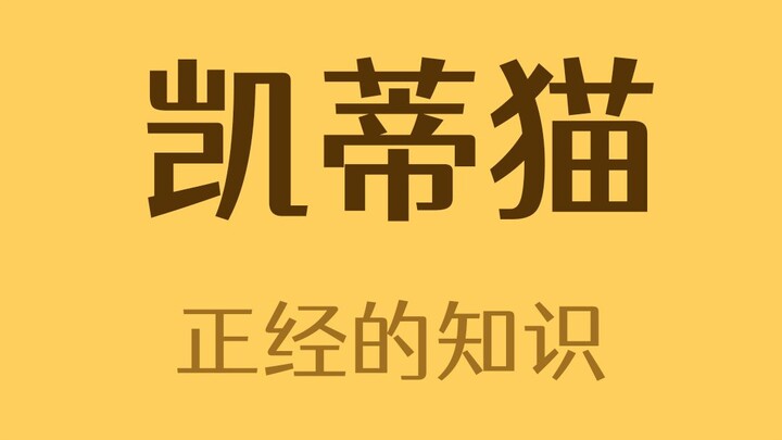 Hello Kitty不是猫，那是什么东西啊？